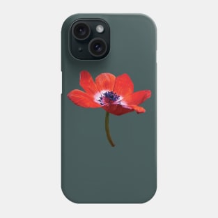 Red Poppy Closeup Phone Case