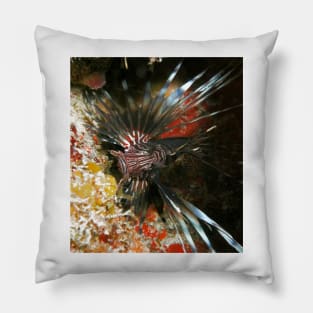 Caribbean Lion Fish Pillow