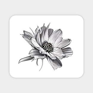 Black & White Digital Flower Drawing Magnet