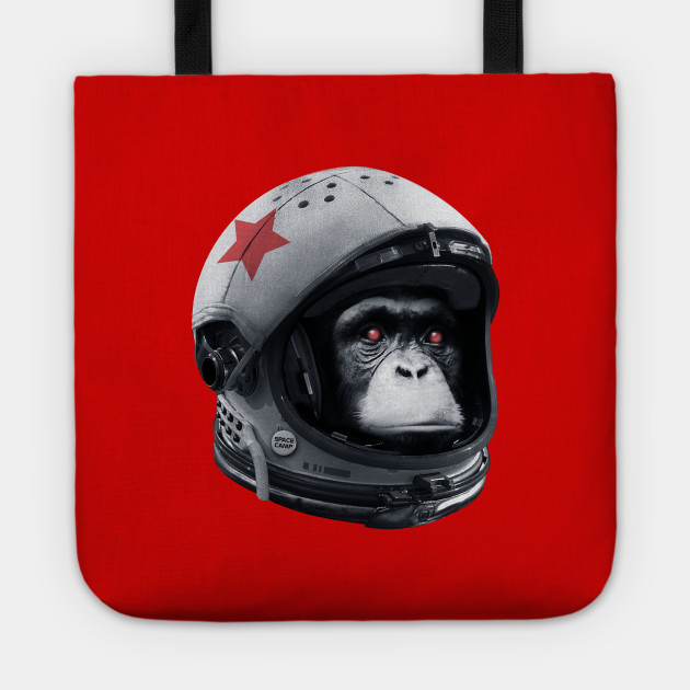 Astro Chimp