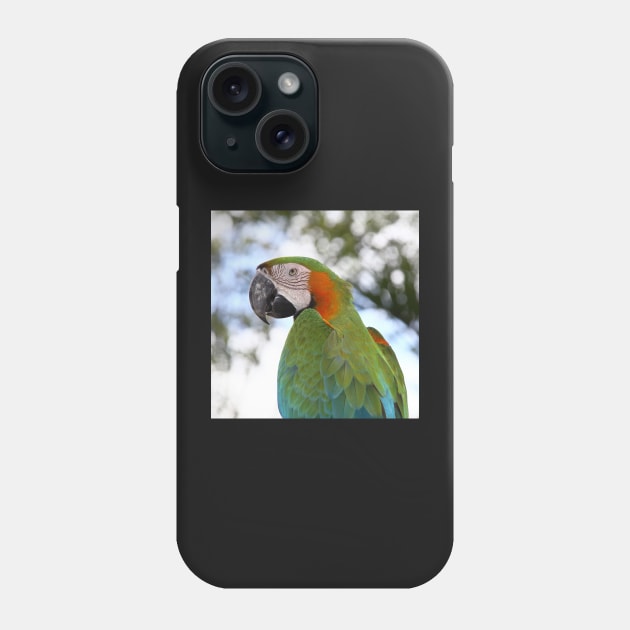 Harlequin Macaw Portrait Phone Case by Carole-Anne