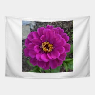 Pink Ruffled Flower Photographic Image Tapestry