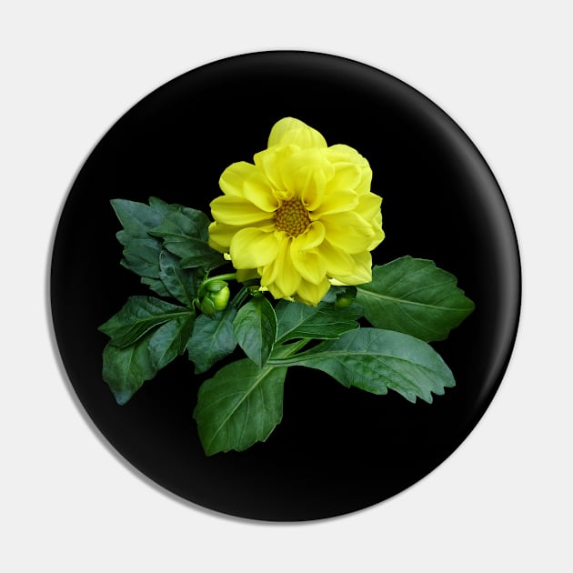 Little Yellow Dahlia Pin by SusanSavad