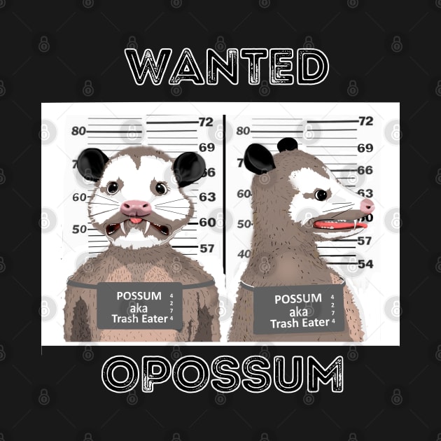 Opossum wanted by SafSafStore