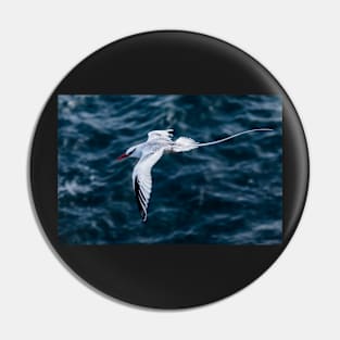 Tropic Bird Pin