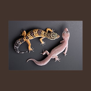 Leopard Gecko and Albino Leopard Gecko T-Shirt