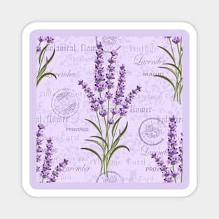 Lavender Blush Magnet