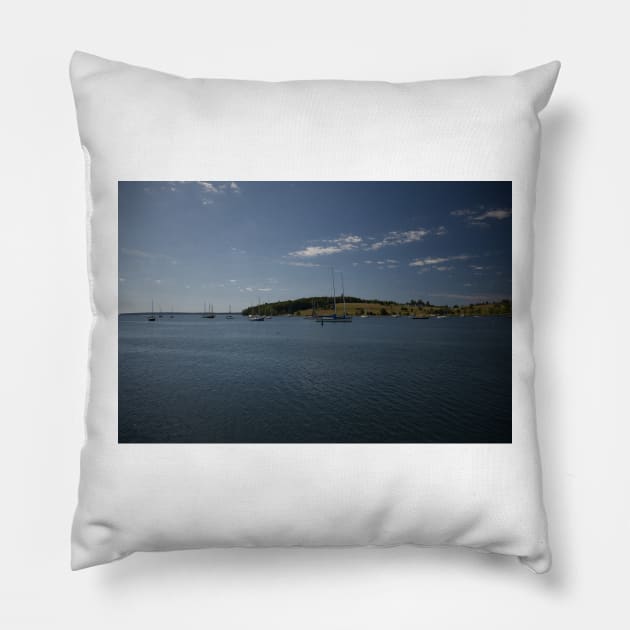 850_4704 Pillow by wgcosby