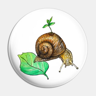 Snail Mail Pin