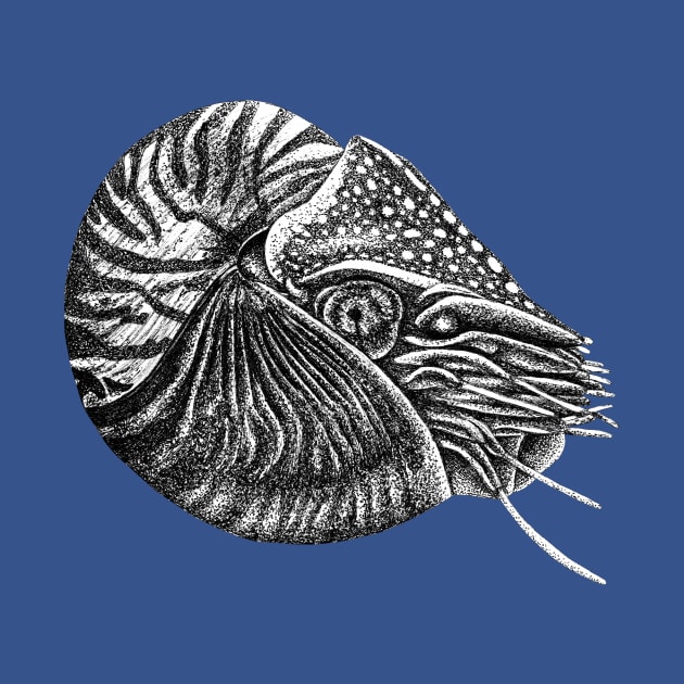 Nautilus fish by lorendowding