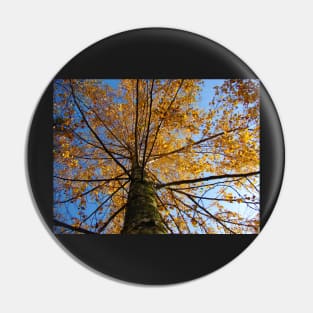 Autumn Sky Pin