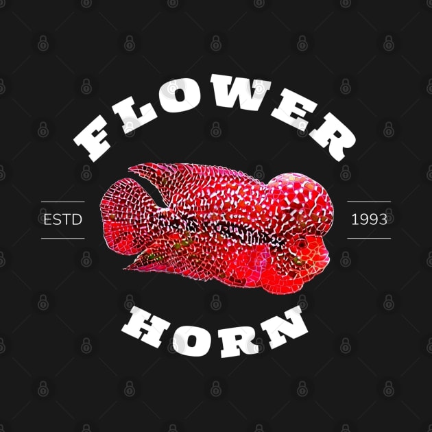 Luohan Flowerhorn Fish Cichlid estd in 1993 by luckycreation