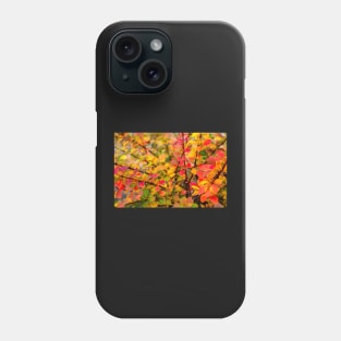 Orange red yellow green Berberis leaves background Phone Case