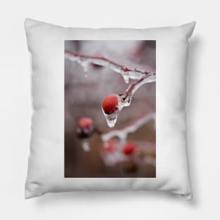 Frozen briar berries Pillow