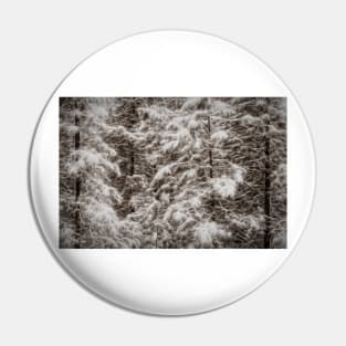 A Hush Falls Over The Forest Pin