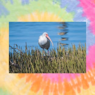 White Ibis At The Edge of Laguna Madre T-Shirt