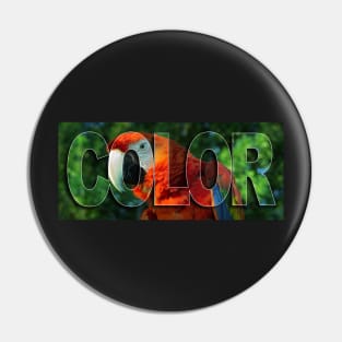 Color Pin