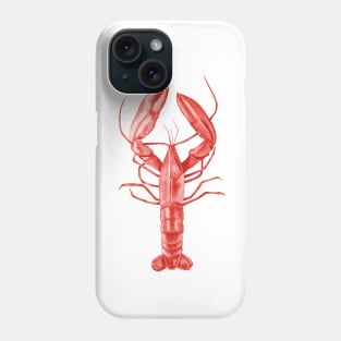 Red lobster illustration Phone Case
