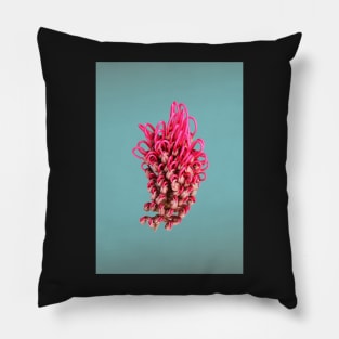 Grevillea on turquoise Pillow