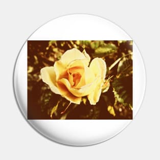 Faded Rose Pin