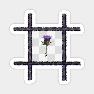 Tartan Thistle on a Chequered Background Magnet