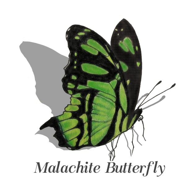 Malachite Butterfly Labeled by ArtAndBliss