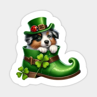 Australian Shepherd Dog Shoes For Patricks Day Magnet