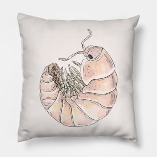 Cubaris murina "Papaya" Isopod Pillow