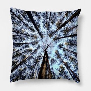 Looking up (Trees) Pillow