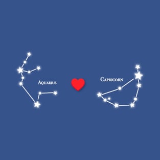 Aquarius Loves Capricorn T-Shirt