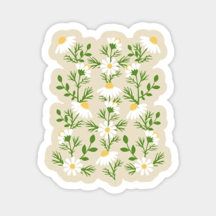 Cute Daisies flowers Illustration Magnet