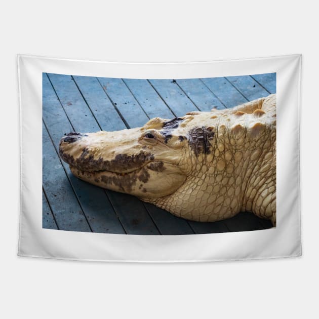 Big Albino Alligator Tapestry by KensLensDesigns