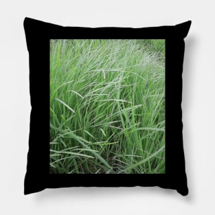 green grass Pillow