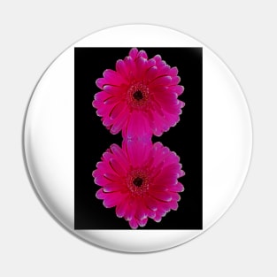 Hot Pink Gerbera Pin