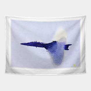 Jet Watercolor Tapestry