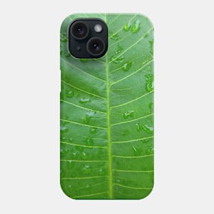 Green banana leaf vein with raindrops Phone Case