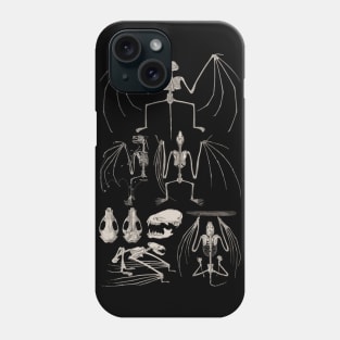 Bat Anatomy Phone Case