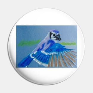 Bluejay Pin