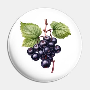 Blackcurrant Illustration Pin