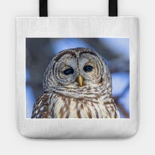 Barred Owl Tote