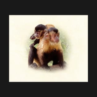 Tufted capuchins T-Shirt