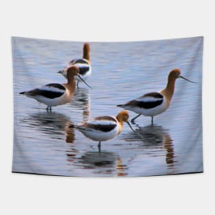 American Avocets Tapestry