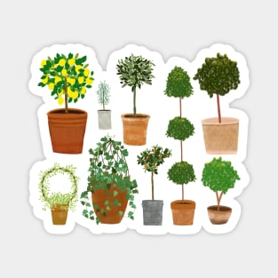 Topiaries Magnet