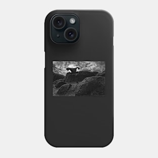 El Condor. Phone Case