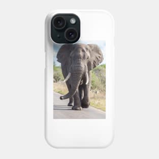 Huge Elephant on the Road, Krüger National Park Phone Case