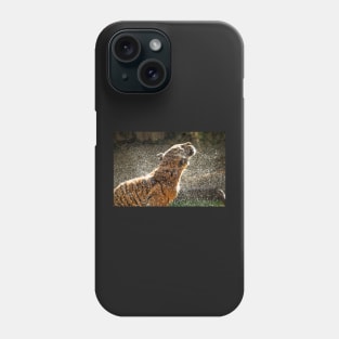 Ooh that feels good - Sumatran Tiger shaking off after a swim Phone Case