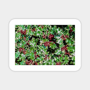 Holly and berries Magnet