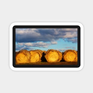 Hay Bales Magnet