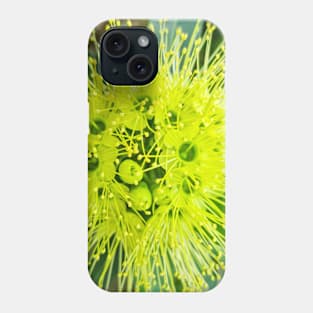 Golden Penda (Xanthostemon chrysanthus) Phone Case