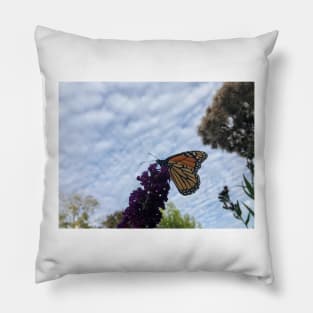 Monarch Butterfly Pillow